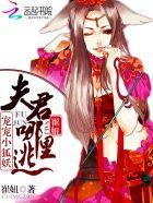 夫君宠妻