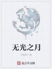 无光之月全文免费阅读
