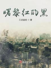黎曙是什么意思