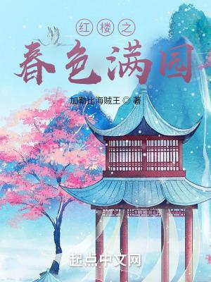 红楼之春色满园txt