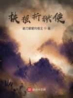 扶摇夫全书