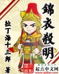 锦衣杀明txt精校版